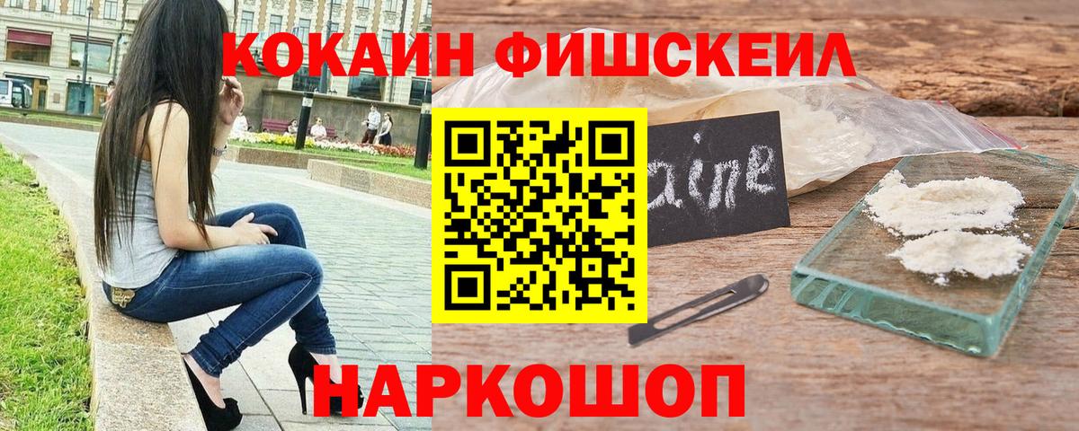 дарнет шоп  КОКАИН  Новозыбков  Вход с VPN  Кокаин FishScale  COCAIN FishScale 