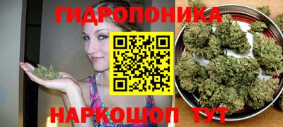 амф Славянск-на-Кубани