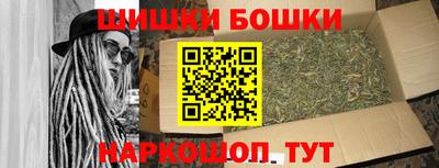 дурь Сланцы