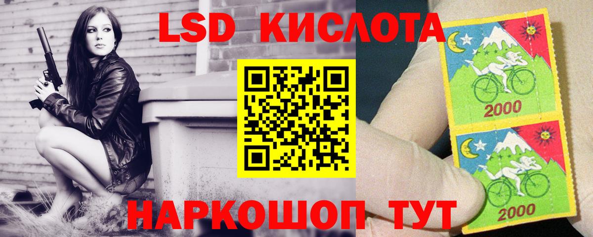 Новозыбков  Лсд 25 экстази кислота  LSD-25 экстази кислота  ОМГ ОМГ маркетплейс  Вход с VPN 