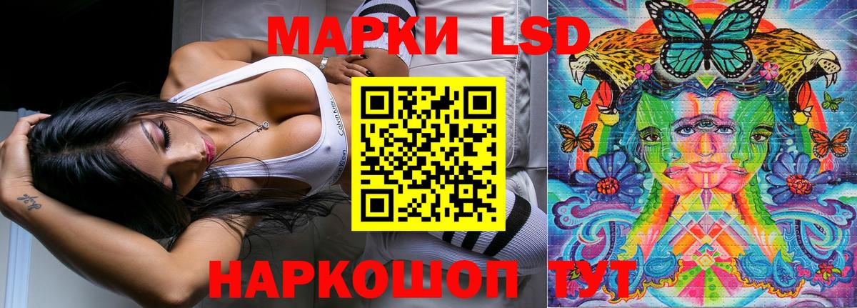 где найти наркотики  Марки N-bome 1500мкг  Вход с VPN  Новозыбков 