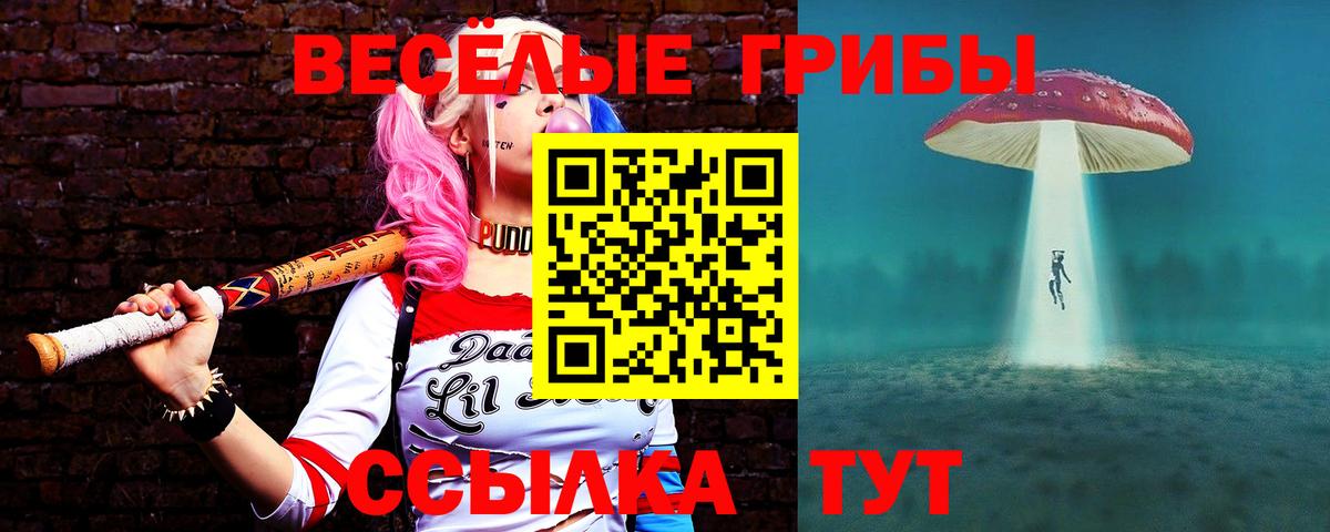 Гашиш  КОКАИН  Вход с VPN  Новозыбков  Купить наркотики  Меф МЯУ МЯУ   Марихуана 